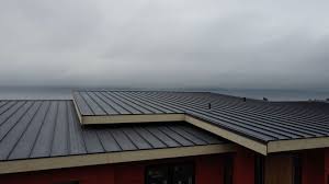 Best Green or Eco-Friendly Roofing Solutions  in Converse, TX